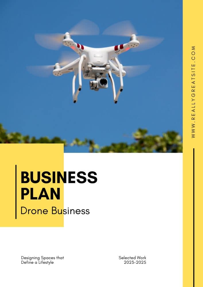 drone company business plan pdf