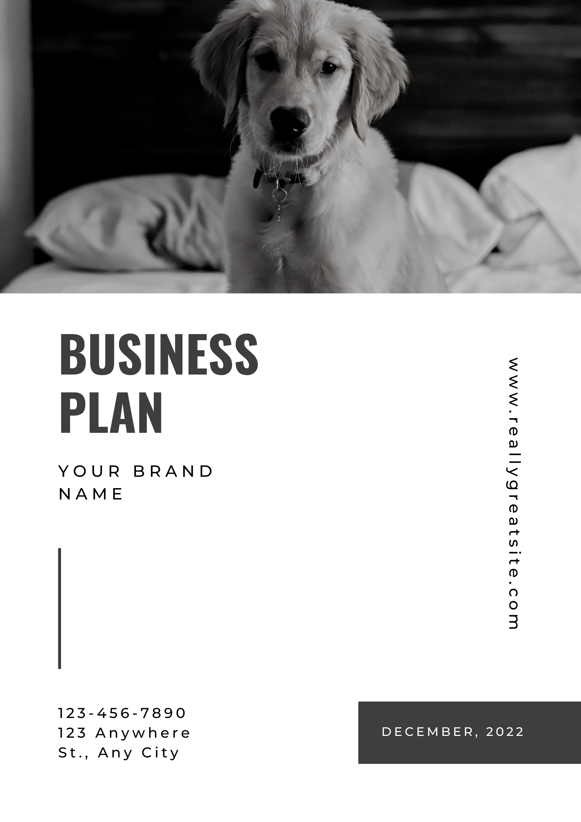 pet hotel business plan
